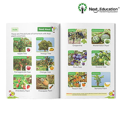 NextPlayThe Little Explorer Primer B Book A NextPlayThe Little Explorer Primer B Book A