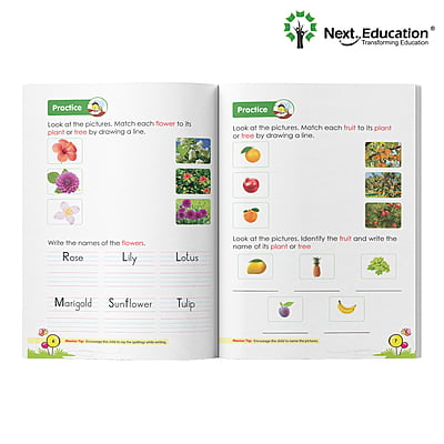 NextTots The Little Explorer PP II Book B NextTots The Little Explorer PP II Book B